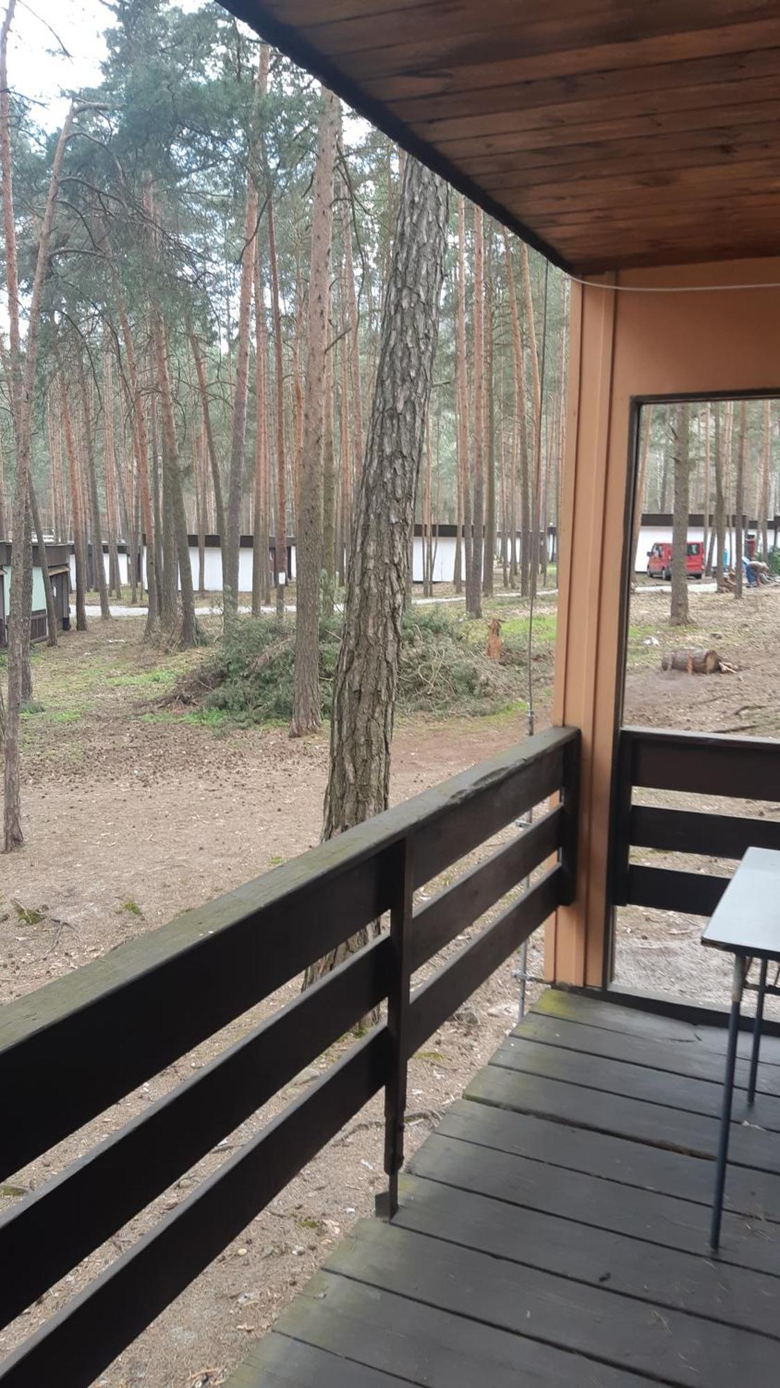 Chatky Pod Bornym Machovo Jezero Doksy  Exterior photo